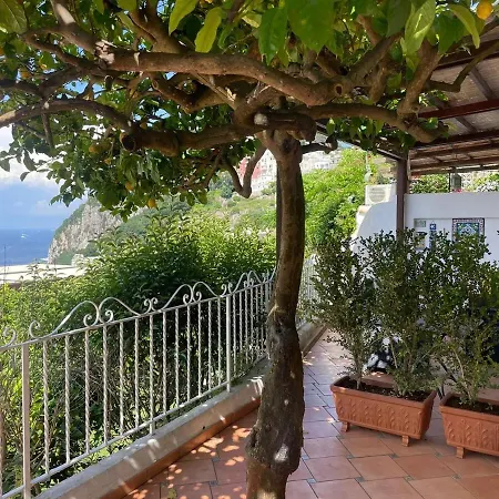 La Casa Di Audrey * קאפרי